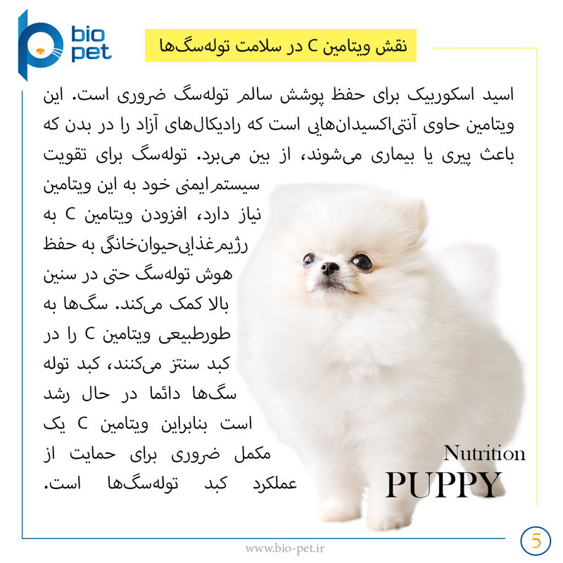 پودر مکمل توله سگ بایو پت مدل Puppy وزن 400 گرم