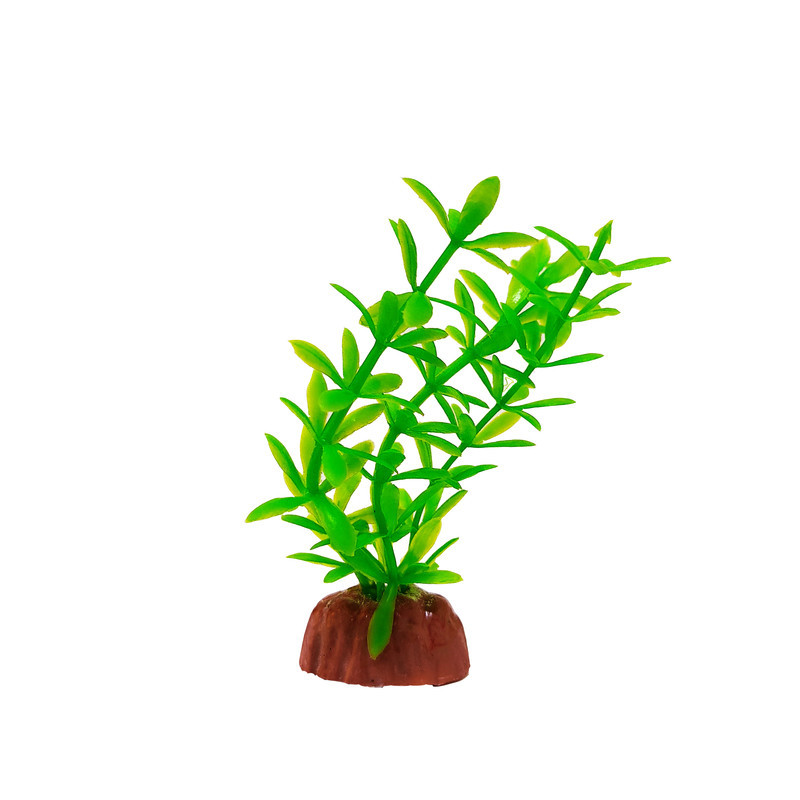 گیاه تزیینی آکواریوم کد 050 بسته 3 عددی