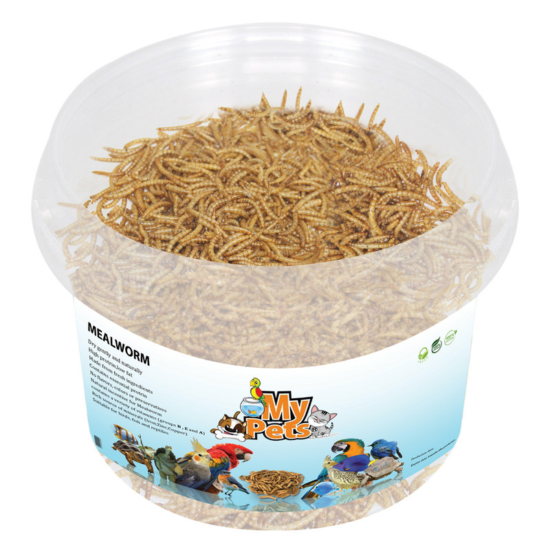 غذای تشویقی پرندگان مای پتز مدل Mealworm وزن 70 گرم