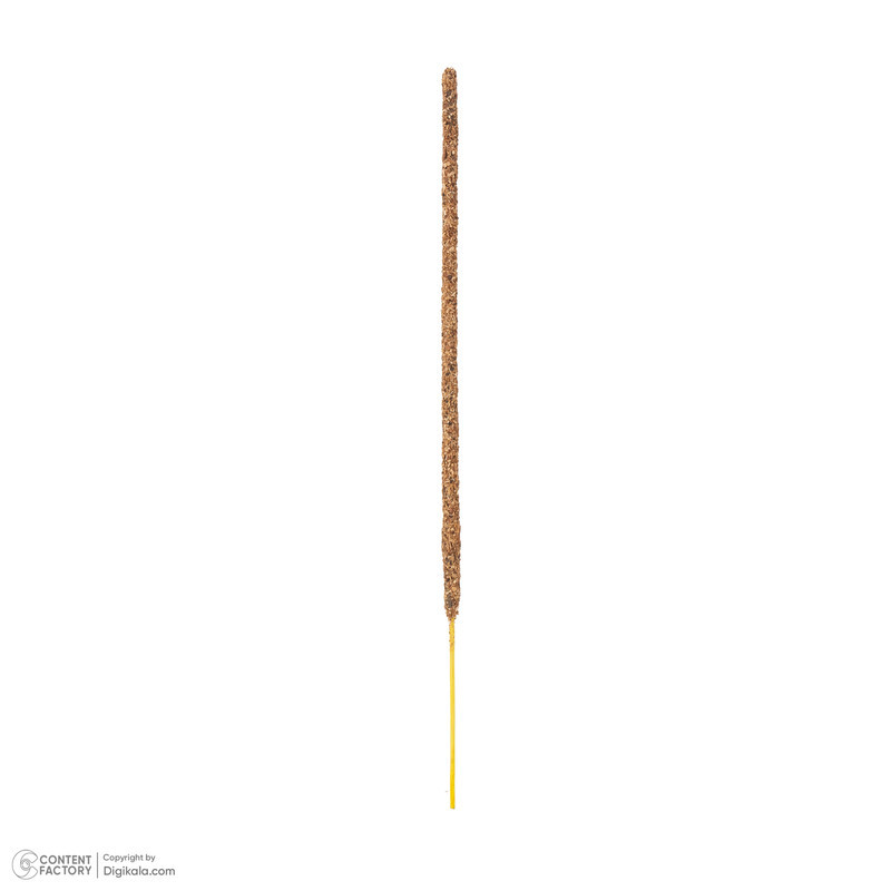 عود هاری دارشان مدل Amazonian Palo Santo رایحه پالوسانتو، جنگل بسته 20 عددی