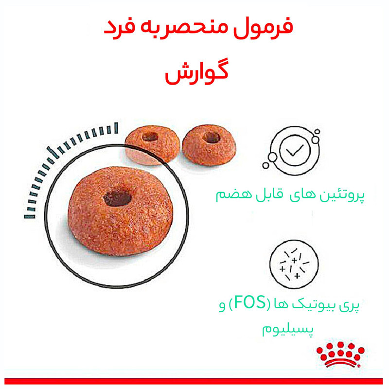غذای خشک گربه رویال کنین مدل Digestive Care وزن 2 کیلوگرم