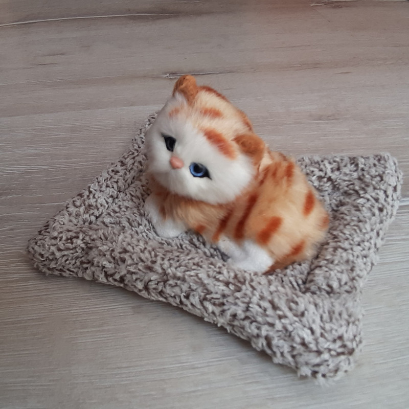 عروسک مدل  گربه خوابیده روی تشک کد 02 طول 20 سانتی متر