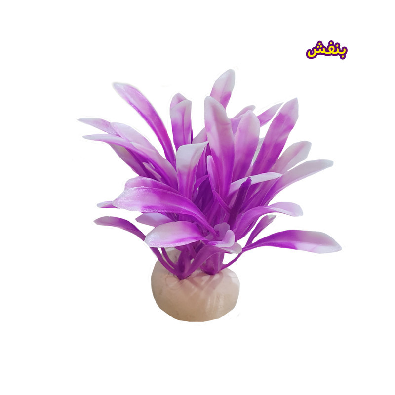 گیاه تزیینی آکواریوم مدل جاوا