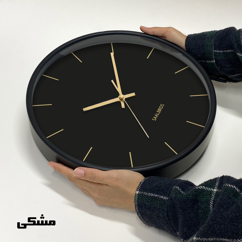 ساعت دیواری کوارتز سال بردز طرح مینیمال مدل CW-924TL