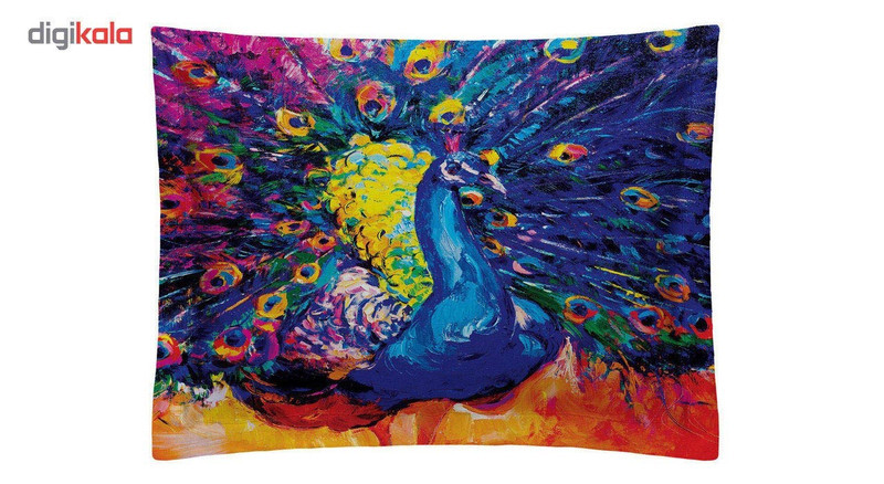 روبالشی رنس مدل P1-20042 سایز 50x70
