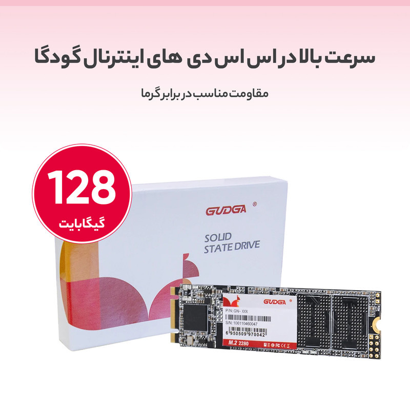 اس اس دی اینترنال گودگا مدل M.2_2280 ظرفیت 128 گیگابایت