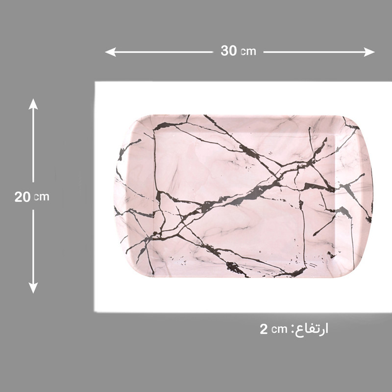 سینی دسته دار مهروز مدل A-1002 سایز 20×30 سانتی متر