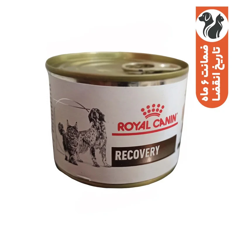 پوچ سگ بالغ رویال کنین مدل Recovery_195 طعم گوشت وزن 195 گرم