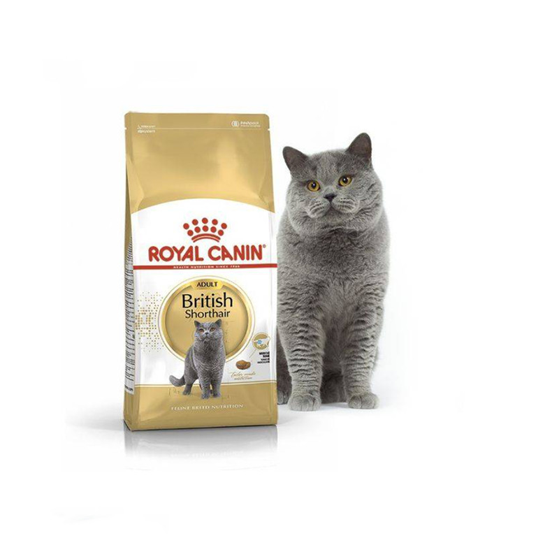 غذای خشک گربه رویال کنین مدل british shorthair adult وزن 4000 گرم