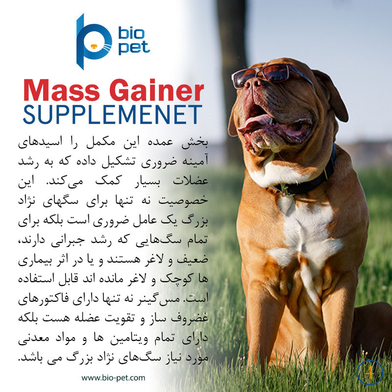 پودر مکمل سگ بایو پت مدل عضله‌ساز Mass Gainer وزن 400 گرم