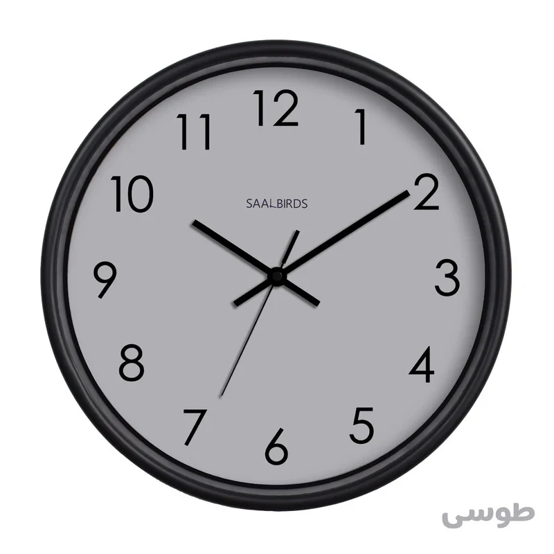 ساعت دیواری سال بردز مدل CW-160