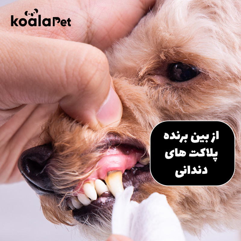 دستمال مرطوب بهداشت دندان حیوانات کوالاپت مدل dental Wipes01 بسته 80 عددی