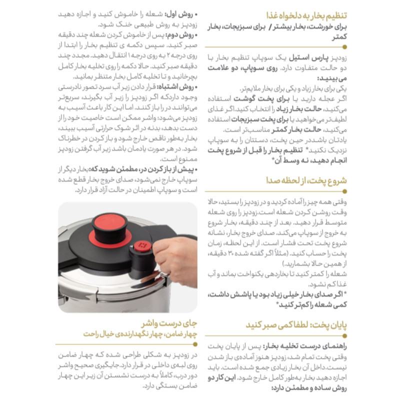 زودپز پارس استیل مدل وستا گنجایش 6 لیتر