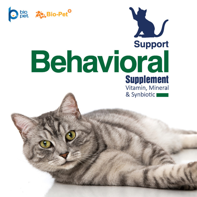 پودر مکمل گربه بایو پت مدل Behavioral وزن 200 گرم