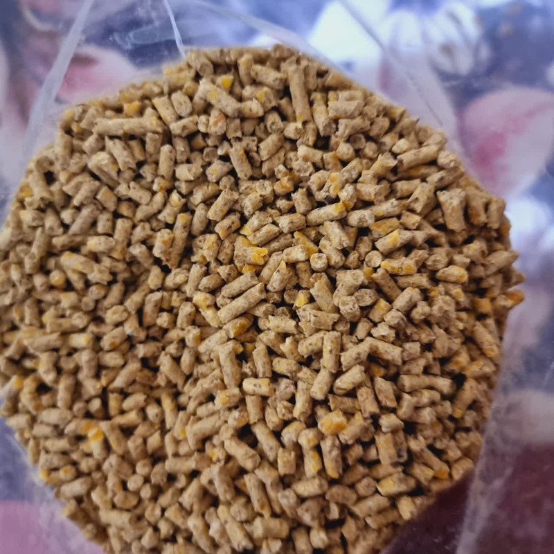 غذای پرندگان و جوندگان کاسنر مدل پلت درشت وزن 1200 گرم