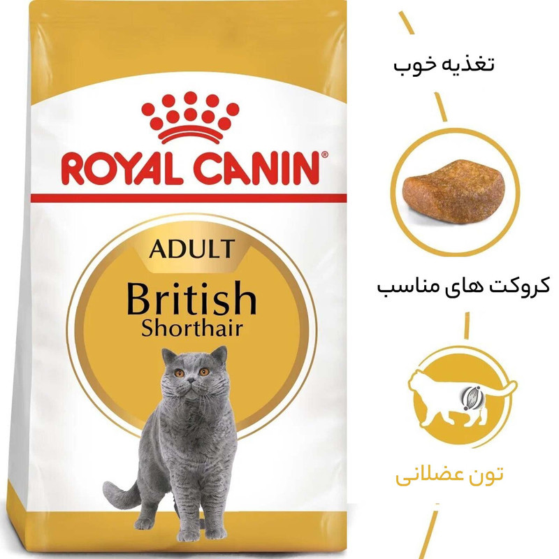 غذای خشک گربه بالغ رویال کنین مدل British shorthair adult وزن 2 کیلوگرم به همراه بستنی