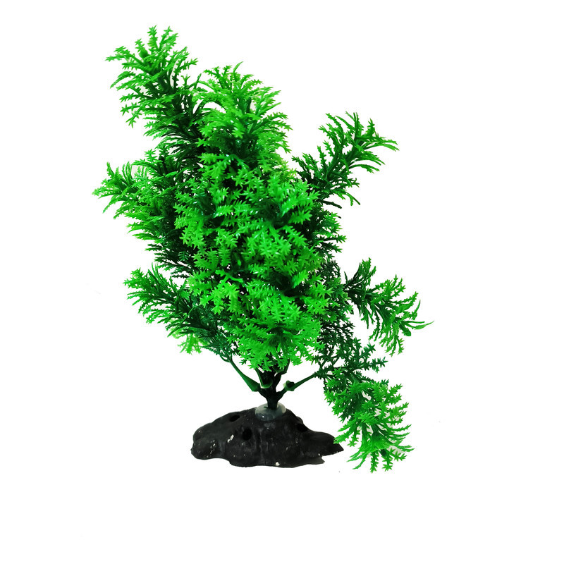 گیاه تزیینی آکواریوم کد VB03 مجموعه 2 عددی