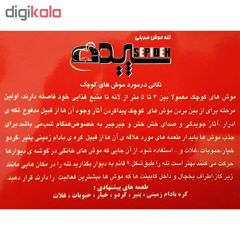 تله موش سپیده مدل Rat بسته 2 عددی
