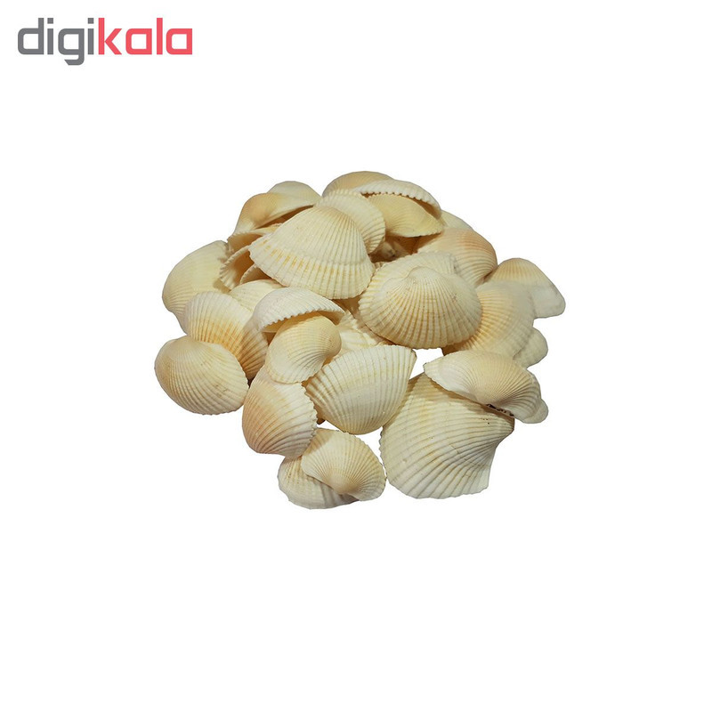 صدف تزئینی آکواریوم مدل َA-1 مجموعه 50 عددی