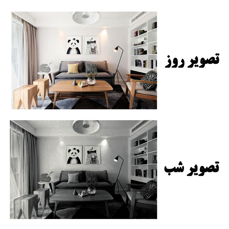 دوربین مداربسته تحت شبکه مدل speed-5f