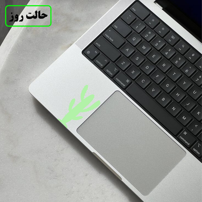 استیکر کلید و پریز مدل شبنما طرح کاکتوس کد 01