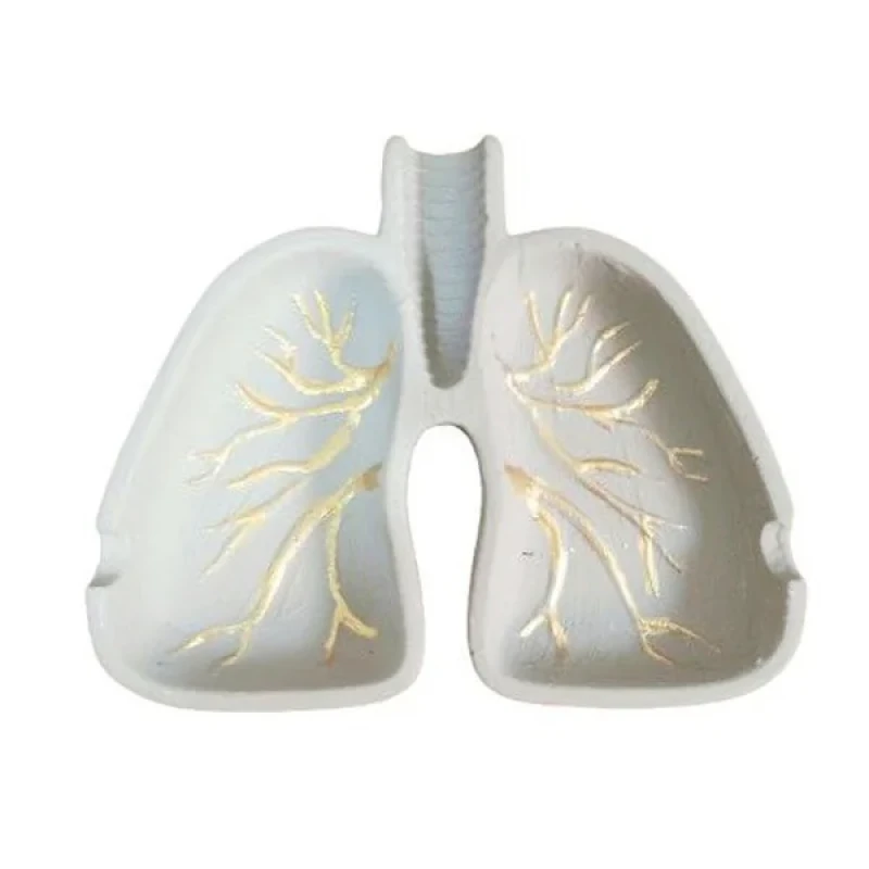 زیر سیگاری سنگی مدل ریه طرح دار