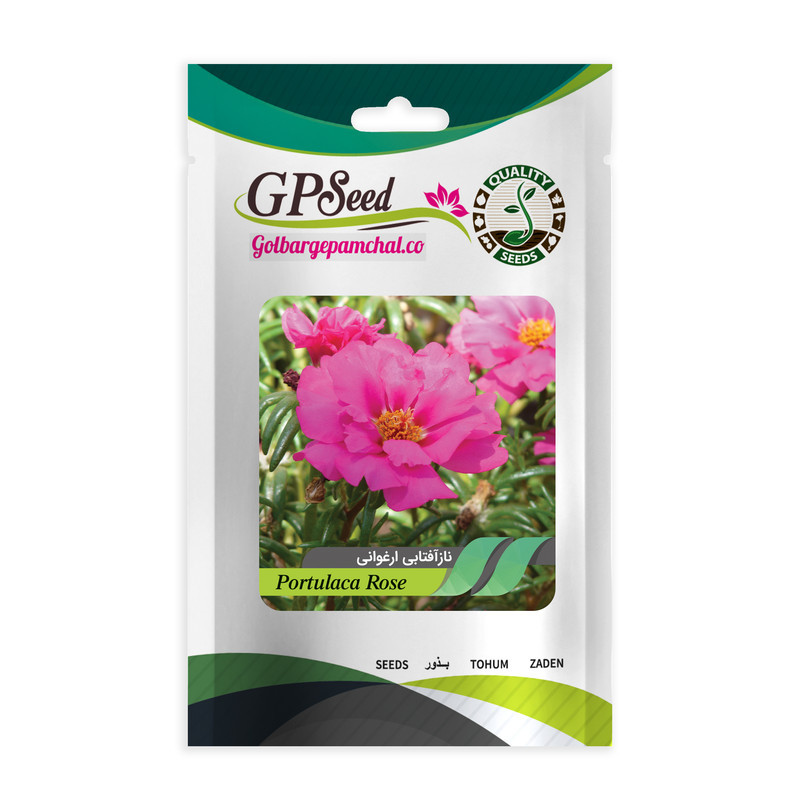 بذر گل ناز آفتابی پرفروش گلدانی گلبرگ پامچال کد G-P-GP-06 مجموعه 6 عددی