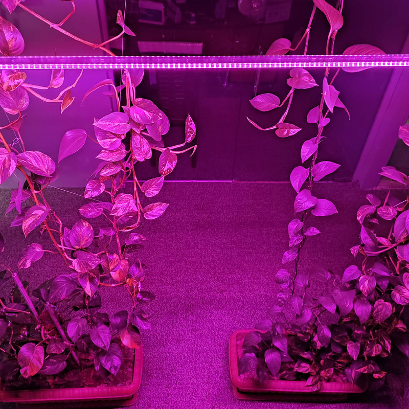 ریسه ال ای دی رشد گیاه 18 وات مدل فول اسپکتروم 220v بسته 2 عددی