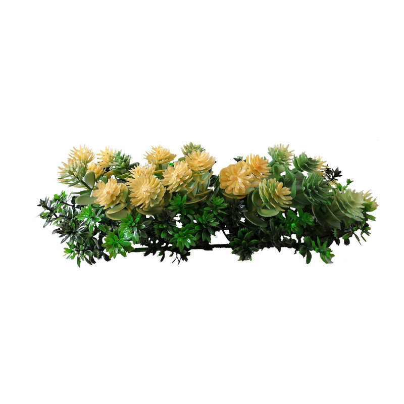 گیاه تزیینی آکواریوم طرح  بنسای مدل large