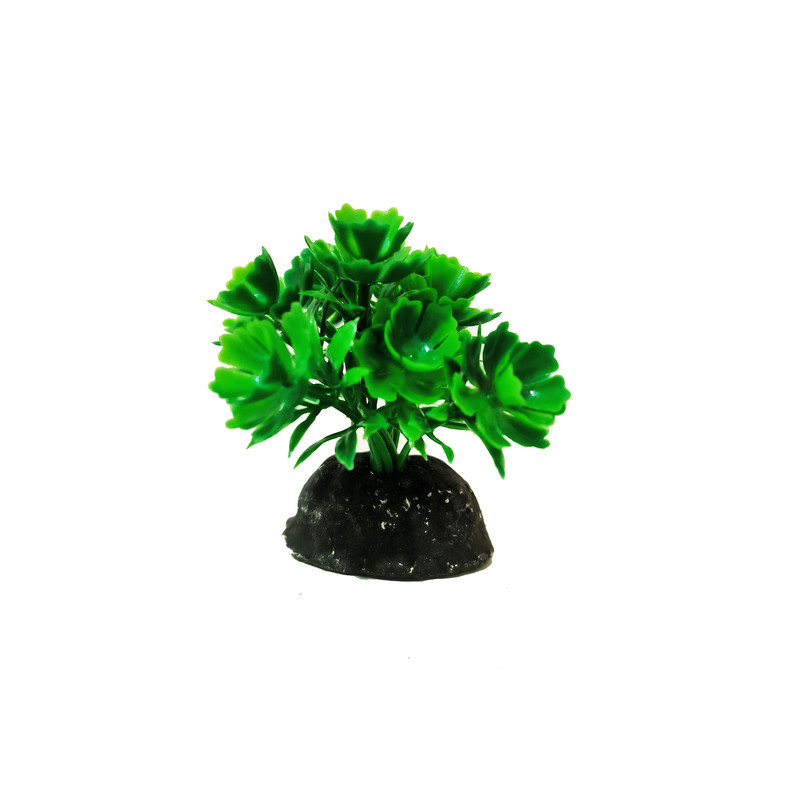 گیاه تزیینی آکواریوم کد VB09 مجموعه 10 عددی