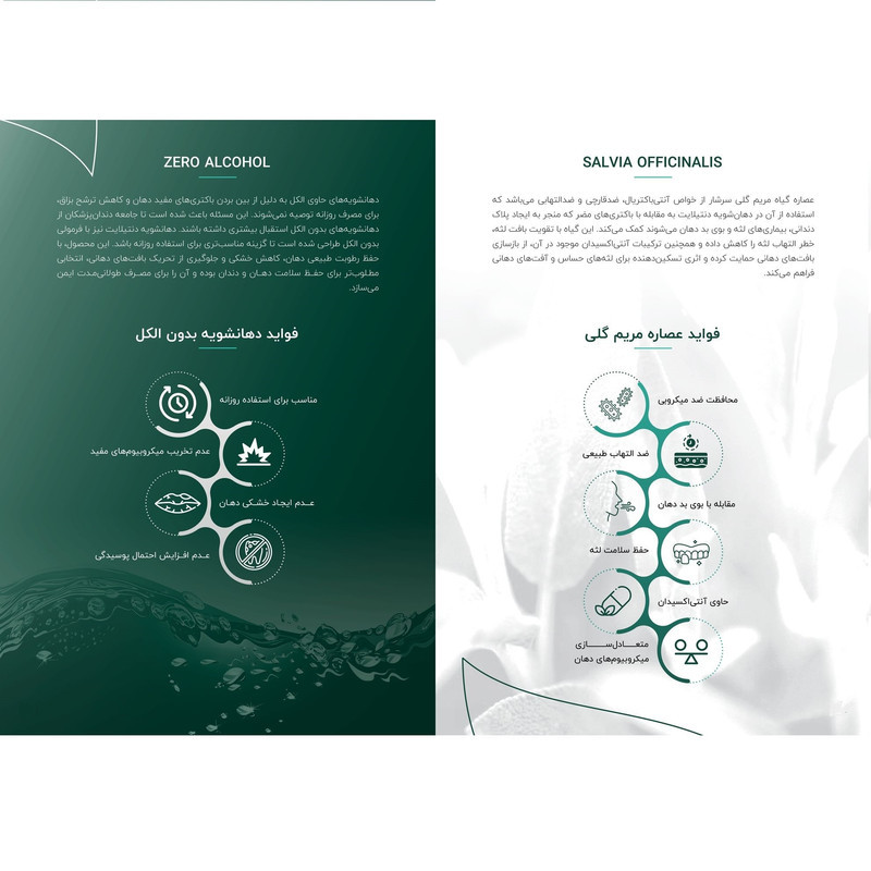 دهان شویه دنتیلایت مدل پست بیوتیک حجم 500 میلی‌لیتر