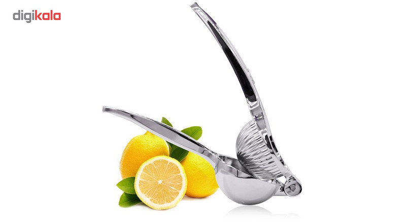 آب مرکبات گیر دستی رجینال مدل شنگیا