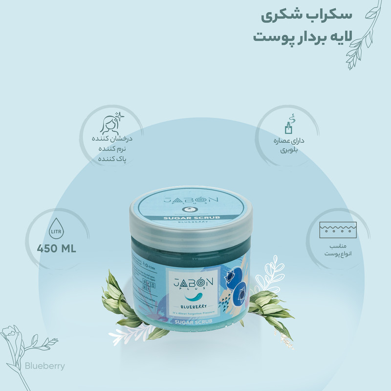 اسکراب شکری لایه بردار پوست ژبن پلاس مدل Blueberry وزن 450 گرم