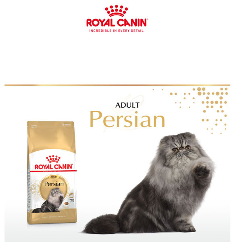 غذای خشک گربه رویال کنین مدل Persian Adult وزن 400 گرم
