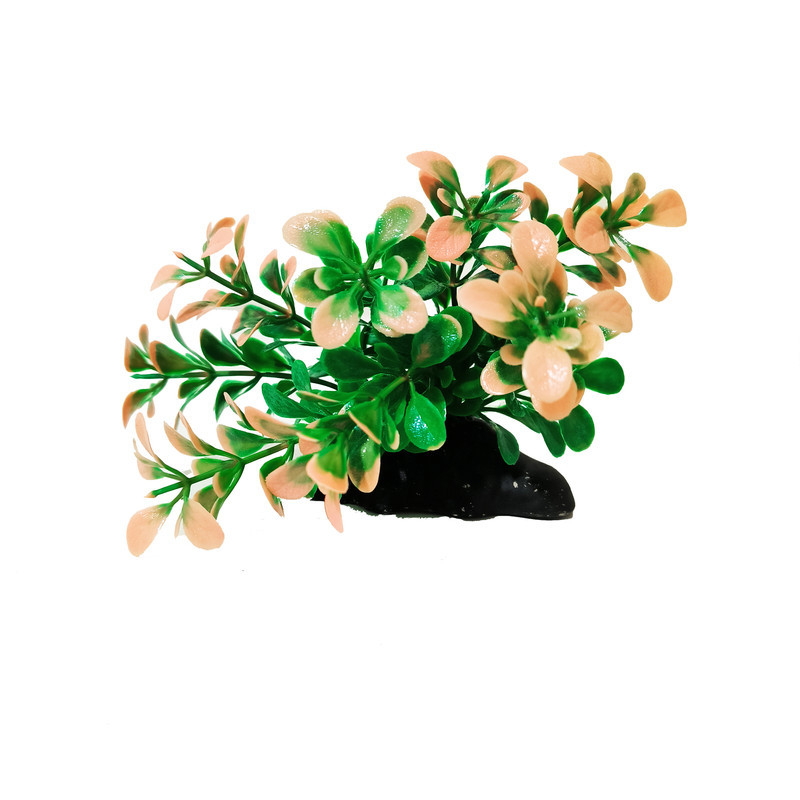 گیاه تزیینی آکواریوم کد VB07 مجموعه 5 عددی
