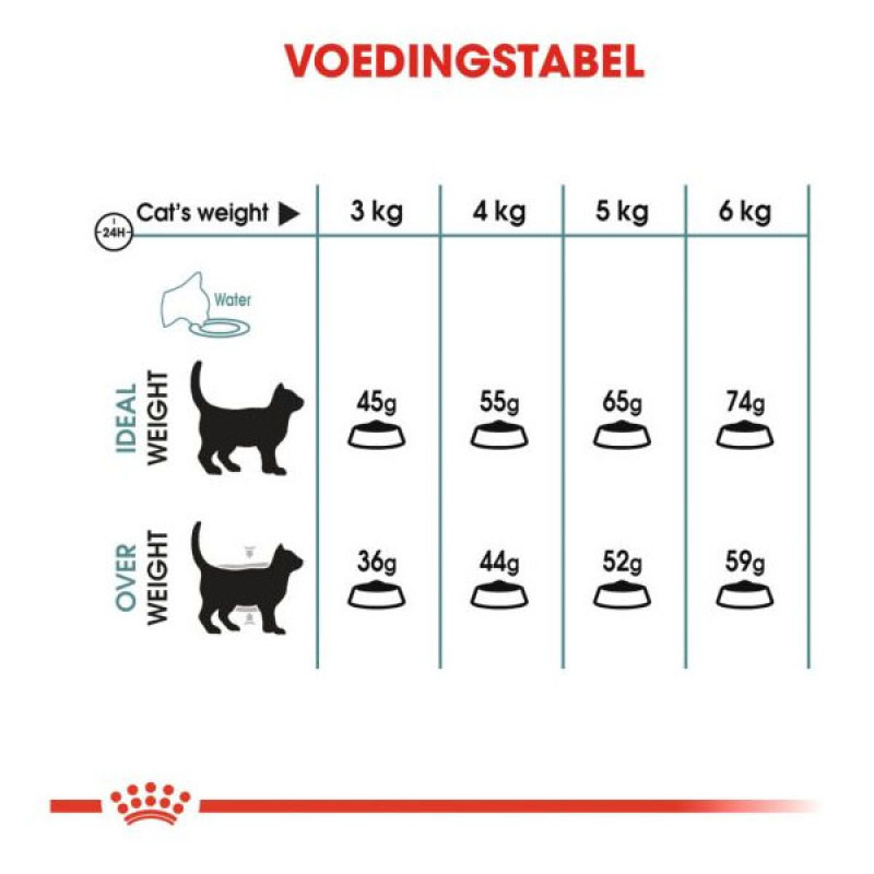 غذا خشک گربه رویال کنین مدل Hairball Care وزن 2 کیلوگرم به همرا بستنی گربه گربه