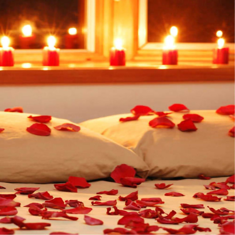 گلبرگ گل مصنوعی پارچه‌ای مدل DSH 106 بسته 288 عددی مناسب تزیین جشن و دکوراسیون، مقاوم در برابر پژمردگی و قابل استفاده طولانی‌مدت
