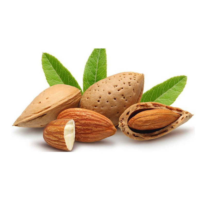 بادام شکن دارکوب کد 877