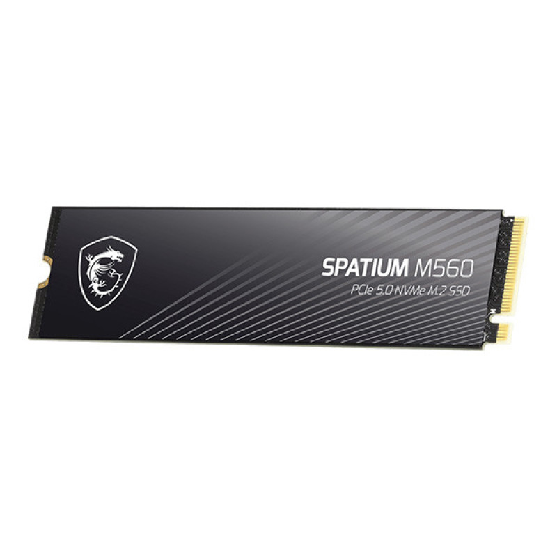 اس اس دی اینترنال PCIe Gen5 x4 ام اس آی مدل MSI SPATIUM M560 ظرفیت 2 ترابایت