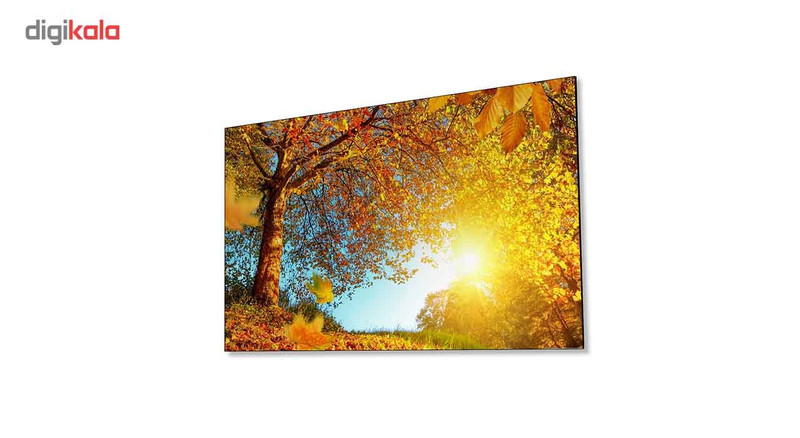 تابلو شاسی ونسونی طرح Fall Trees سایز 70 × 50 سانتی متر