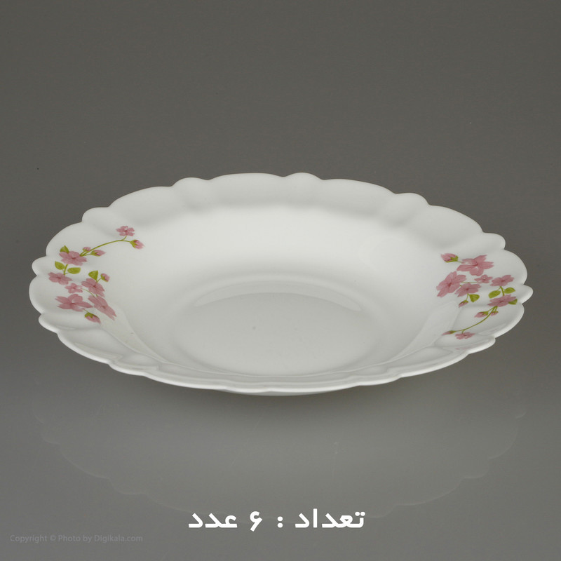 سرویس 25 پارچه اپال طرح دایره مدل اما کنگره