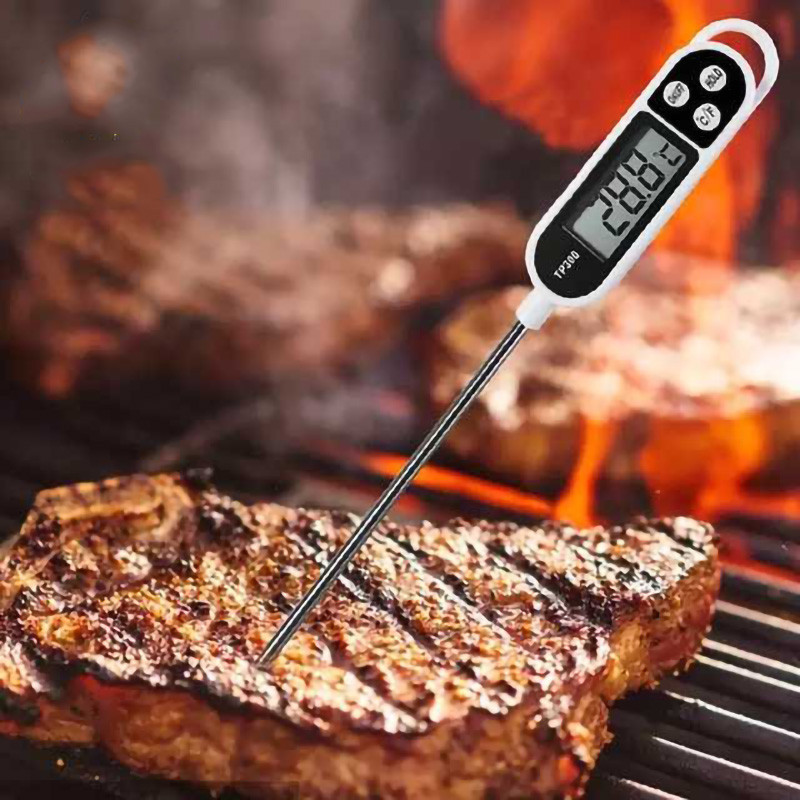 دماسنج مدل PRO-thermometer