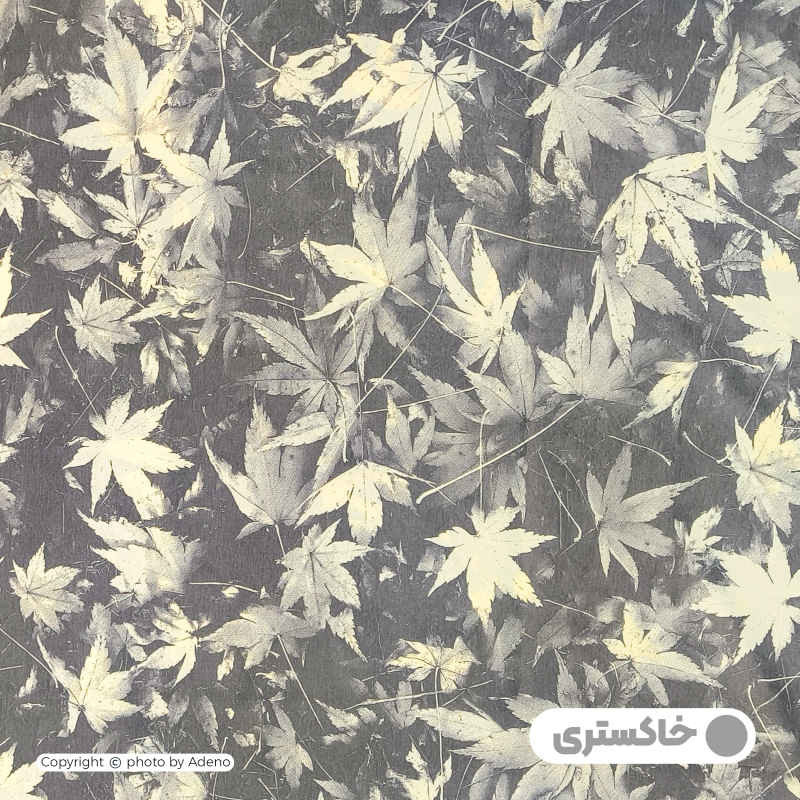 روکش لحاف آدنو مدل Autumn کد IR176 دونفره سایز 220x240 سانتی متر