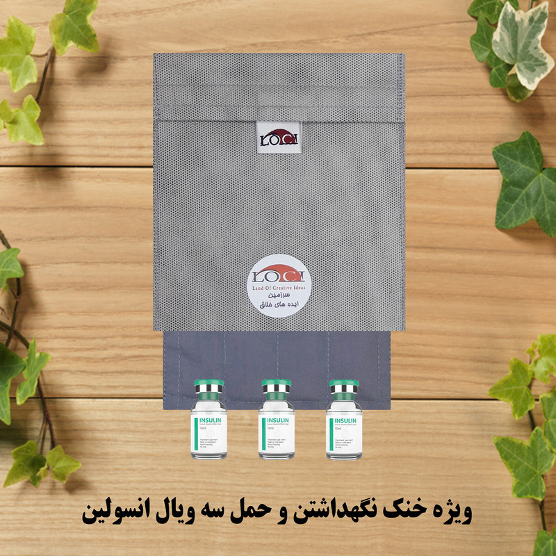 کیف خنک نگهدارنده انسولین لوک آی مدل 3 ویال کد 00 مجموعه 2 عددی