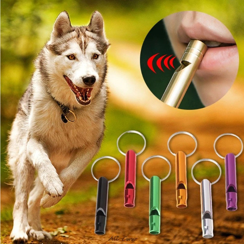 سوت نجات کد cm66 مجموعه 6 عددی