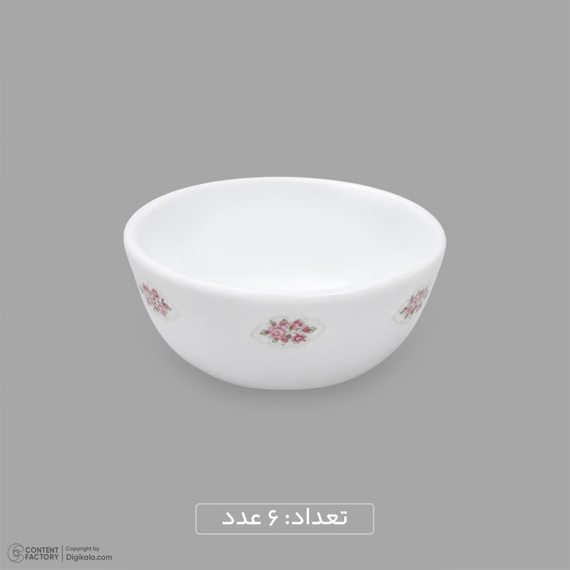 سرویس غذاخوری اوپال 26 پارچه 6 نفره دینو مدل  گرد کلاسیک ورژن 3  لوستر کد 139