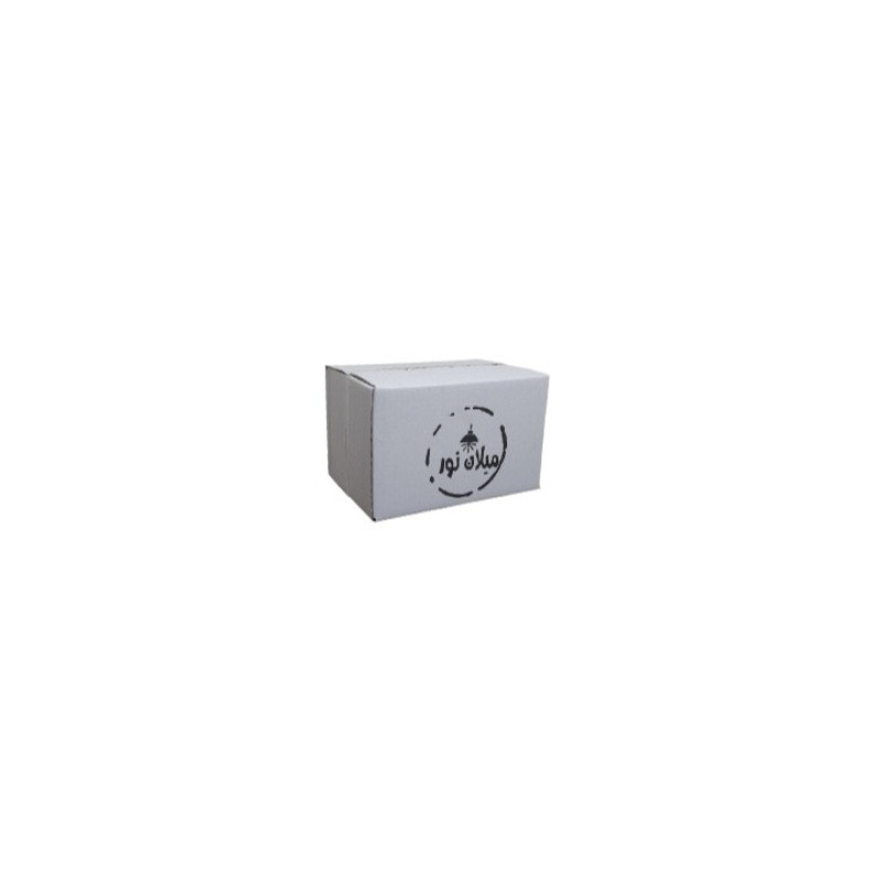 دیوارکوب ۱ شعله مدل چراغ دیواری میلان نور کدm8001