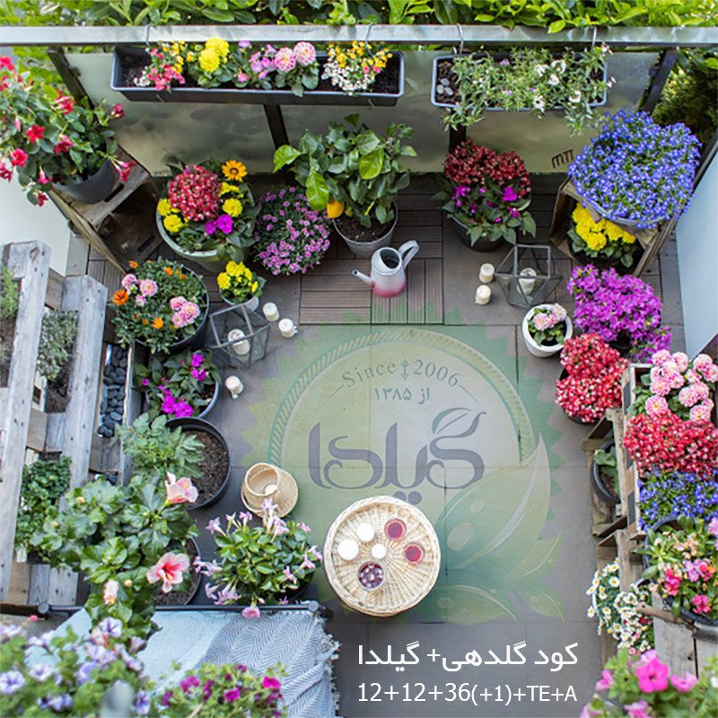 کود مایع کامل گلدهی گیلدا مدل پتاسیم بالا حجم 120 میلی لیتر