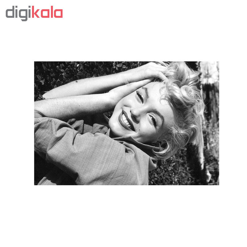 تابلو شاسی طرح مرلین مونرو کد 6131