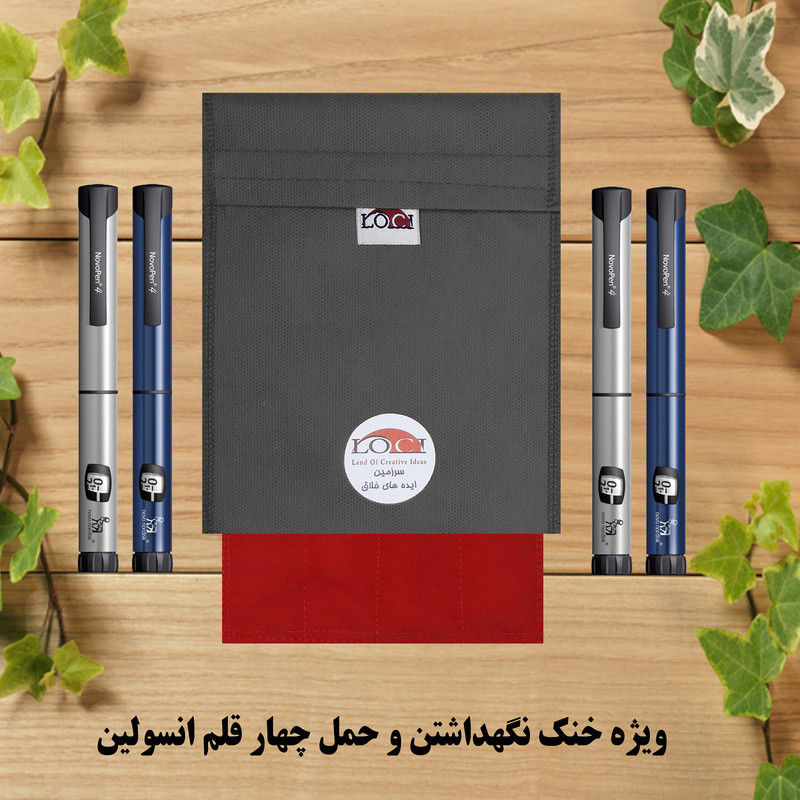کیف خنک نگهدارنده انسولین لوک آی مدل 4 قلم کد 01 مجموعه 2 عددی
